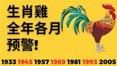 1969屬雞2023幸運色|1969年屬雞人2023年運勢及運程69年54歲生肖 